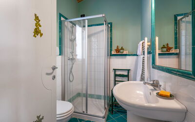 Accommodation:&nbsp;Primula