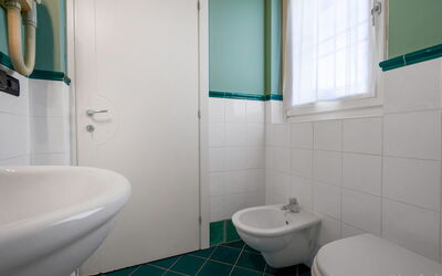 Accommodation:&nbsp;Primula