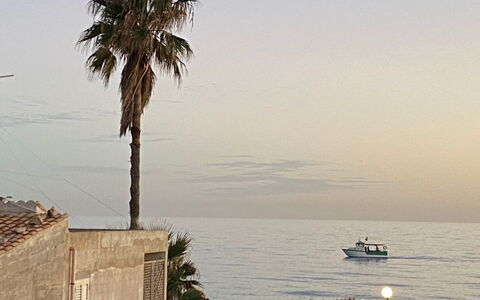 Casa Amare: Sky, Sea, Coast, Beach, Coastal And Oceanic Landforms, Ocean, Tropics, Trunk, Woody Plant, Shore