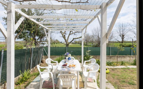 Casa di Lilia: Shade, Garden, Outdoor Structure, Pergola, Landscaping, Backyard, Yard, Canopy, Daylighting, Garden Buildings
