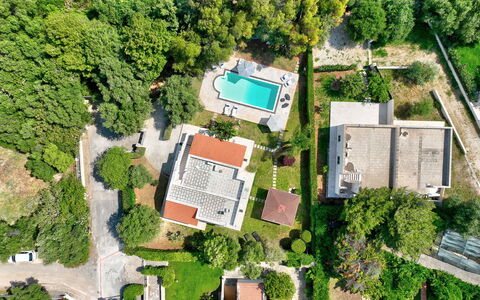 Villa Margherita: Swimming Pool, Tree, Residential Area, Bird'S-Eye View, Landscape, Aerial Photography, House, Home, Estate, Urban Design