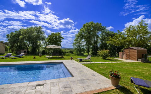 Gli Ulivi: Tree, Swimming Pool, Garden, Shade, Landscaping, Lawn, Estate, Backyard, Yard, Design