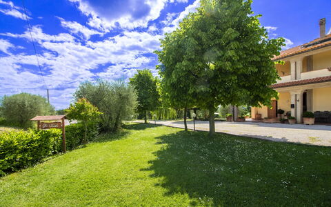 Gli Ulivi: Blue, Tree, Grass, Shrub, Land Lot, Garden, Lawn, Spring, Shade, Meadow