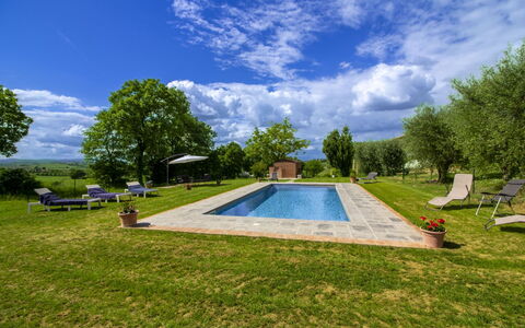 Gli Ulivi: Garden, Swimming Pool, Estate, Lawn, Landscaping, Shade, Farmhouse, Yard, Park, Hacienda