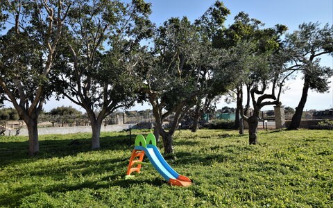 Villa Andrea: Leaf, Branch, Vegetation, Trunk, Shade, Groundcover, Spring, Garden, Woody Plant, Sunlight