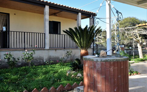 Villa Andrea: Flowerpot, Shade, Garden, Houseplant, Landscaping, Yard, Backyard, Outdoor Structure, Courtyard