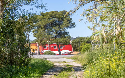 Casale Oleandro Marino: Tree, Red, Shrub, Land Lot, Shade, Landscaping, Driveway