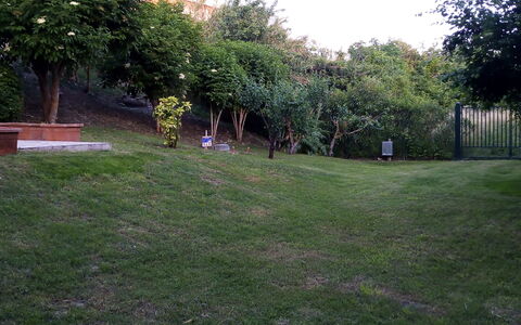 Casale Oleandro Marino: Grass, Leaf, Landscape, Garden, Lawn, Land Lot, Groundcover, Spring, Yard