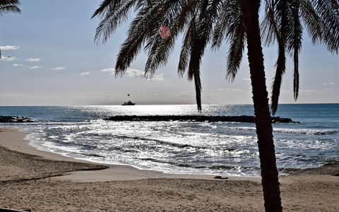 Villa Giugiola: Blue, Water, Beach, Body Of Water, Coast, Sea, Coastal And Oceanic Landforms, Shore, Horizon