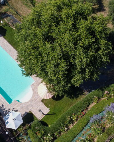 Casa dei Nonni: Swimming Pool, Garden, Leisure, Resort, Lawn, Estate, Backyard, Landscaping, Shade, Yard