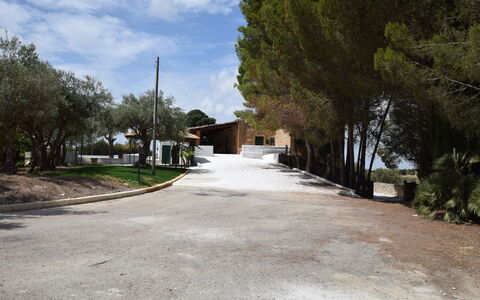 Villa Chiaramonte Gulfi: Tree, Road Surface, Driveway, Shade, Landscaping, Hacienda, Shadow, Path