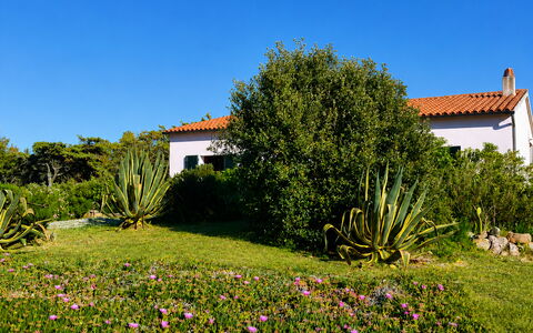 Villa Vignola: Flower, Vegetation, Shrub, Garden, Plant Community, Groundcover, Meadow, Landscaping, Herbaceous Plant