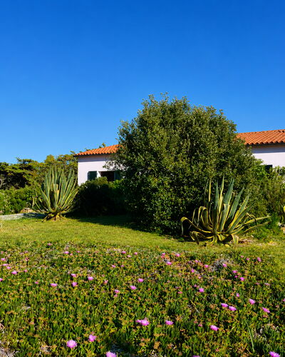 Villa Vignola: Flower, Vegetation, Shrub, Garden, Plant Community, Groundcover, Meadow, Landscaping, Herbaceous Plant
