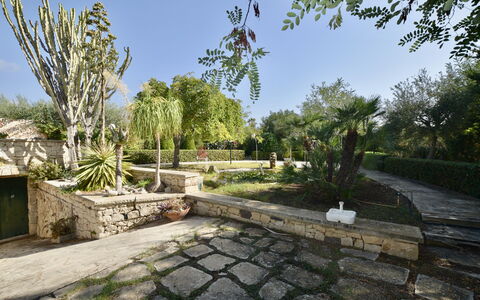 Villa Lina: Tree, Vegetation, Shrub, Garden, Flagstone, Walkway, Woody Plant, Landscaping, Shade, Botanical Garden