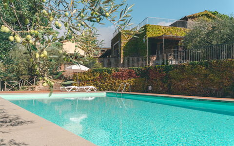 House in the Woods, Pool and Relax in Umbria: Swimming Pool, Resort, Eco Hotel, Hacienda, Estate, Villa, Shade, Garden, Backyard, Landscaping