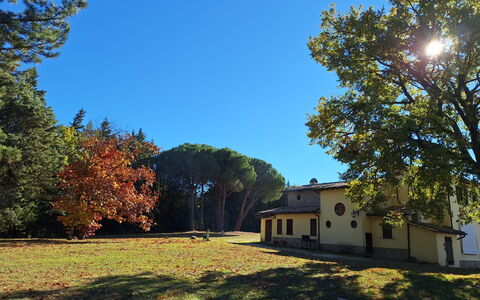 House in the Woods, Pool and Relax in Umbria: Tree, Grass, Leaf, Branch, House, Home, Plain, Land Lot, Lawn, Trunk
