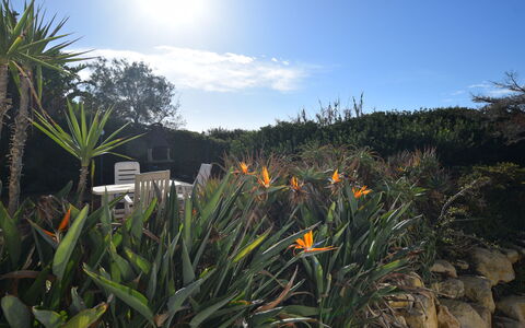 Punta Braccetto Fronte Mare: Garden, Landscaping, Botanical Garden