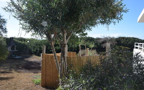 Punta Braccetto Fronte Mare: Shrub, Woody Plant, Garden, Landscaping, Yard, Backyard, Fence