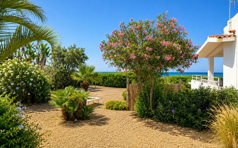 Punta Braccetto Fronte Mare: Flower, Green, Shrub, Garden, Plant Community, Groundcover, Landscaping, Walkway, Botanical Garden