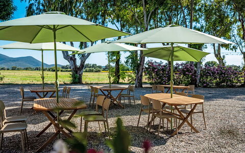 Grosseto 830: Furniture, Umbrella, Outdoor Furniture, Outdoor Table, Table, Shade, Chair, Garden, Kitchen & Dining Room Table, Lawn