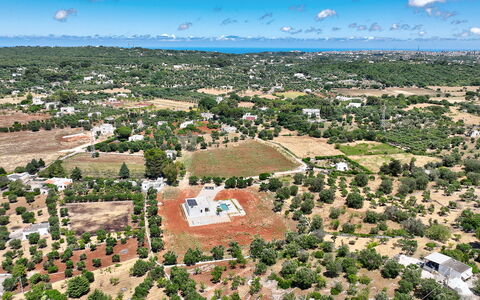 Tenuta Emma: Tree, Bird'S-Eye View, Aerial Photography, Landscape, Plain, Residential Area, Land Lot, Field, Suburb, Village