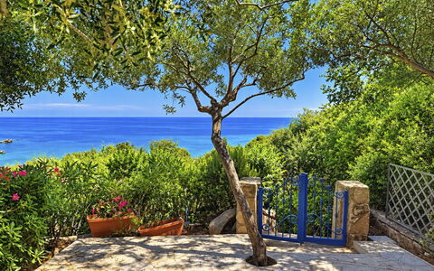 Porto Luna 1: Blue, Green, Sea, Coastal And Oceanic Landforms, Ocean, Coast, Tropics, Shade, Garden, Shore