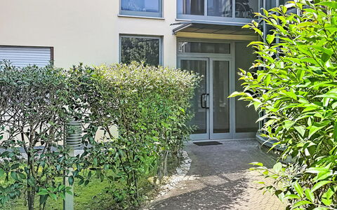 Nala: Shrub, Urban Design, Garden, Hedge, Shade, Yard, Landscaping, Backyard, Courtyard