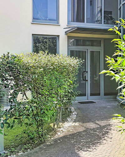 Nala: Shrub, Urban Design, Garden, Hedge, Shade, Yard, Landscaping, Backyard, Courtyard