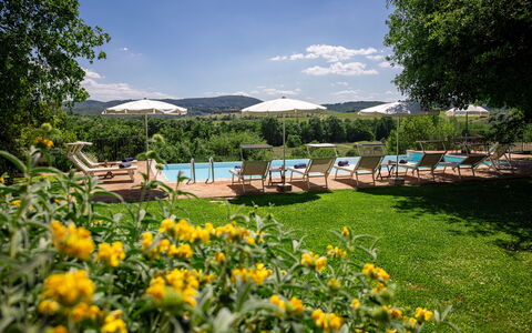 Villa Santa Barbara, Pool and Relax, Siena Country: Resort, Outdoor Furniture, Garden, Swimming Pool, Eco Hotel, Shade, Landscaping, Sunlounger, Estate, Plantation