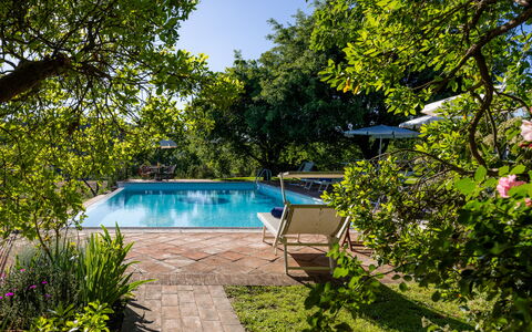 Villa Santa Barbara, Pool and Relax, Siena Country: Swimming Pool, Resort, Shrub, Garden, Shade, Outdoor Furniture, Eco Hotel, Leisure, Landscaping