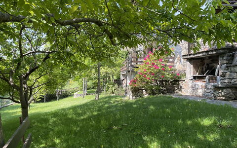 Il Cervo: Shrub, Garden, Rural Area, Groundcover, Spring, Lawn, Cottage, Yard, Backyard