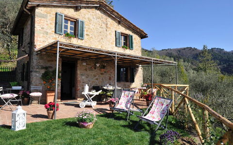 Oliveta: Cottage, Backyard, Chair, Yard, Outdoor Table, Outdoor Furniture, Porch, Farmhouse, Houseplant, Bicycle