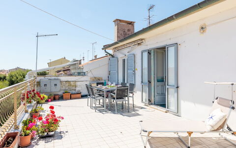 Attico del Corso: Apartment, Balcony, Flowerpot, Houseplant, Bicycle, Bicycle Fork