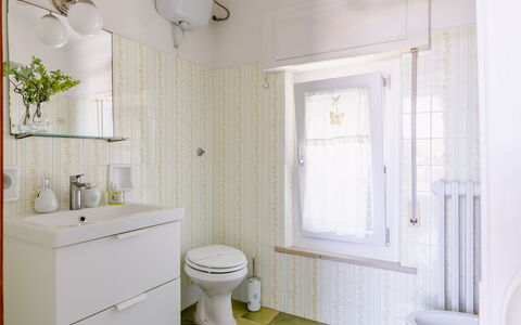 Attico del Corso: Bathroom, Plumbing Fixture, Interior Design, Wall, Toilet, Flooring, Toilet Seat, White, Bathroom Sink, Floor