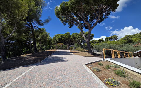 Villa Pineta della Rovere: Tree, Public Space, Walkway, Slope, Shade, Landscaping, Driveway, Path, Stairs, Trail