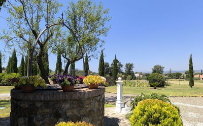 Scarlino 35: Sky, Tree, Shrub, Landscape, Garden, Spring, Woody Plant, Landscaping, Park