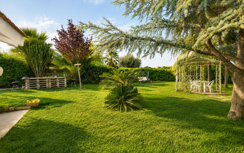 Il Cigno Reale Green: Grass, Tree, Green, Leaf, Vegetation, Garden, Shrub, Landscape, Lawn