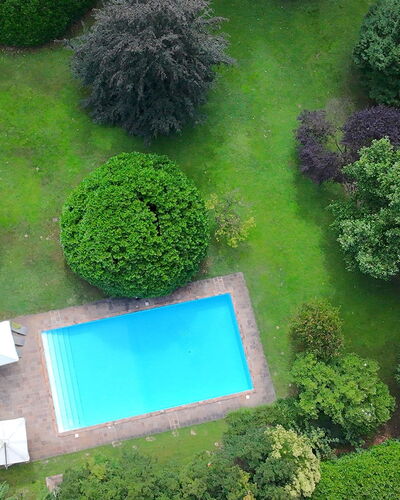Villa Dorina: Swimming Pool, Shrub, Garden, Lawn, Landscaping, Backyard, Yard, Leisure, Resort, Shade