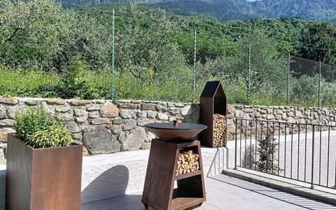 Aura: Rock, Garden, Concrete, Flowerpot, Landscaping, Natural Material, Design, Wood Stain, Houseplant, Flagstone