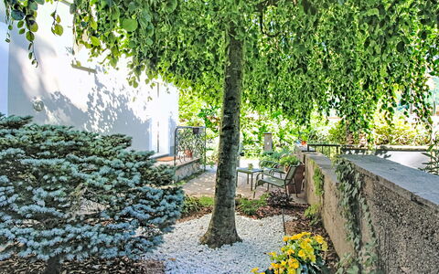 Boscolago: Leaf, Green, Vegetation, Shrub, Garden, Groundcover, Spring, Woody Plant, Shade, Twig