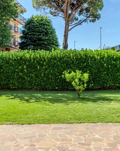 Villa Giulia: Green, Shrub, Hedge, Garden, Groundcover, Lawn, Landscaping, Shade, Walkway, Artificial Turf