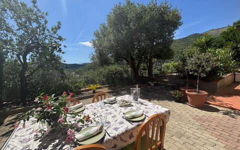 Il Fienile, Garden and Peacefull View: Garden, Mountain Range, Flowerpot, Landscaping, Yard, Houseplant, Chair, Eco Hotel, Kitchen & Dining Room Table