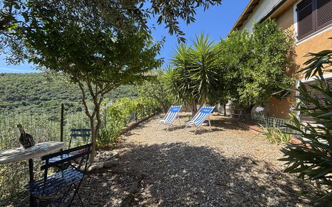 Il Fienile, Garden and Peacefull View: Shrub, Plant Community, Garden, Landscaping, Shade, Flowerpot, Backyard, Yard, Houseplant