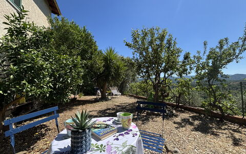 Il Fienile, Garden and Peacefull View: Shrub, Landscape, Garden, Spring, Shade, Chair, Landscaping, Flowerpot, Yard