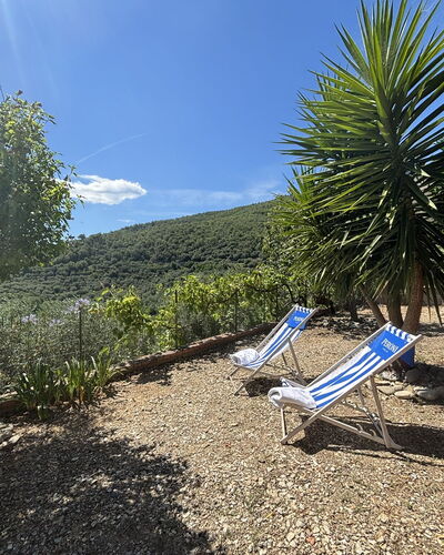 Il Fienile, Garden and Peacefull View: Shrub, Garden, Flowerpot, Landscaping, Shade, Botanical Garden, Outdoor Furniture, Walkway, Eco Hotel