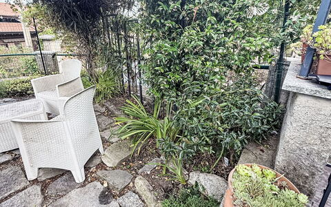 Colazza 100: Shrub, Flowerpot, Garden, Houseplant, Fence, Herb