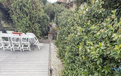 Colazza 100: Shrub, Garden, Spring, Shade, Landscaping, Fence, Botanical Garden, Home Fencing, Hedge