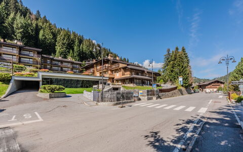 Presanella: Building, House, Residential Area, Roof, Human Settlement, Village, Suburb, Mountain Village, Larch, Path