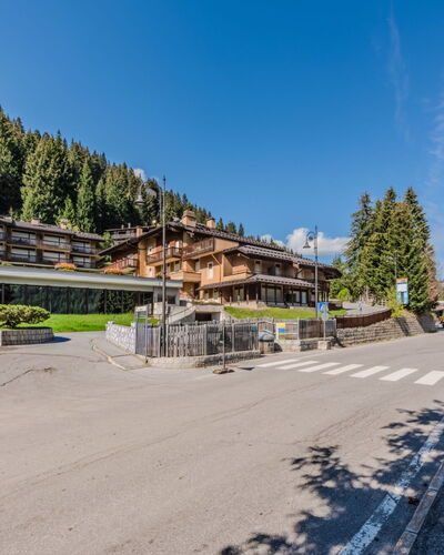 Presanella: Building, House, Residential Area, Roof, Human Settlement, Village, Suburb, Mountain Village, Larch, Path