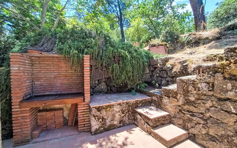 Il Giardino di Lara: Brick, Garden, Stone Wall, Shade, Landscaping, Soil, Backyard, Stairs, Outdoor Structure, Flagstone